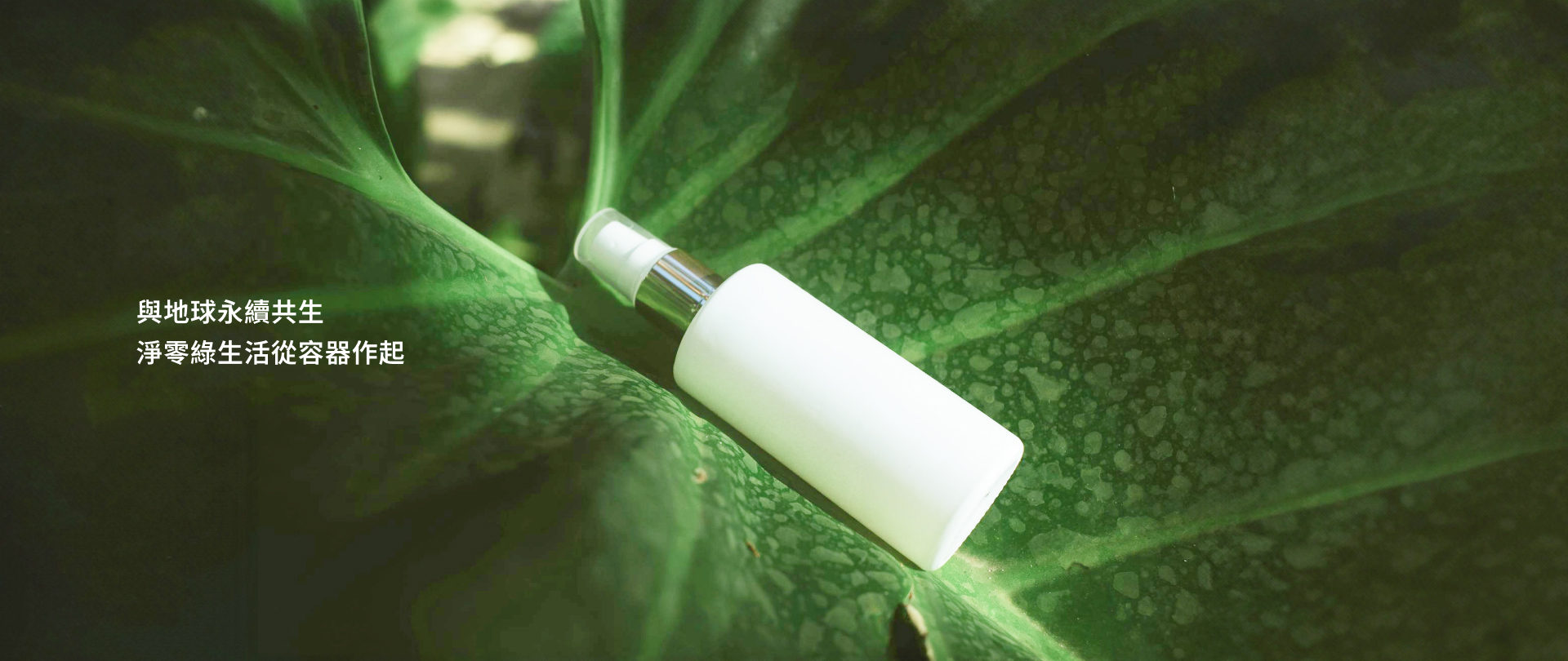 永續網初始主視覺01